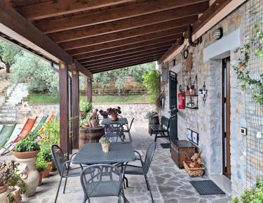 Deluxe One-Bedroom Apartment