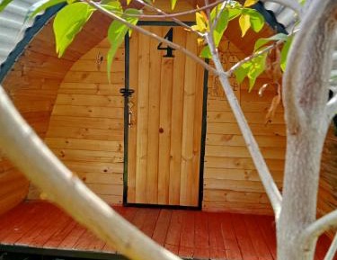 One-Bedroom Bungalow