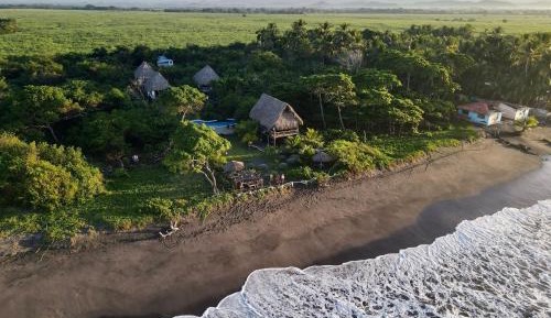 Double Room with Pool View