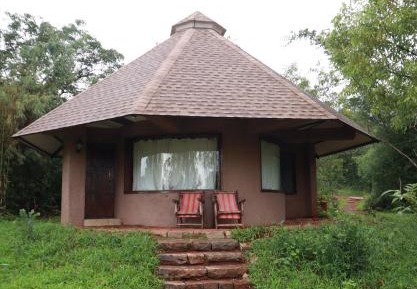 King Room with Garden View