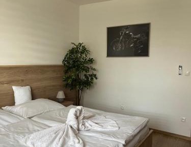 Large Double Room