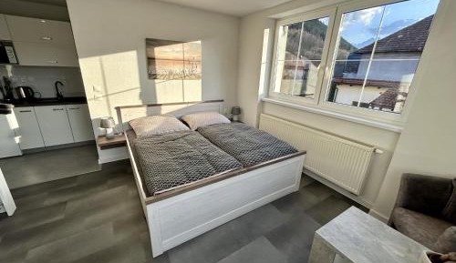 Apartment with Mountain View
