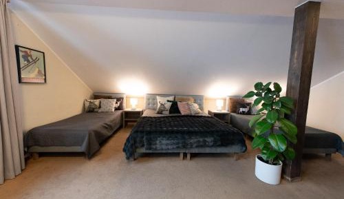 Quadruple Room with Mountain View