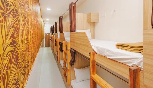 Single Bed in Mixed Dormitory Room