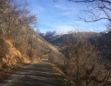 Budget Double or Twin Room