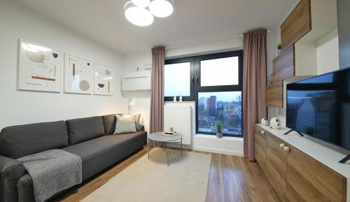 Studio with Sofa Bed