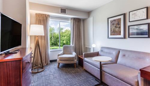 Deluxe One-Bedroom Suite with Sofa Bed 