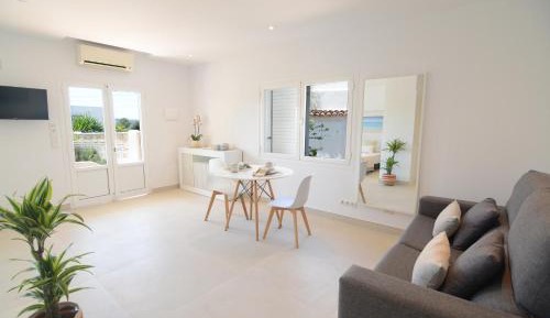 Studio with Terrace