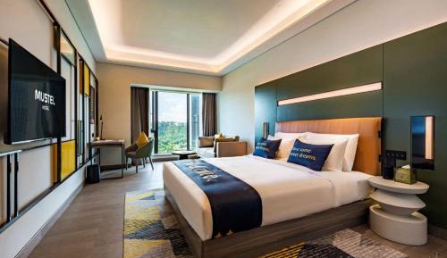 Superior Queen Room