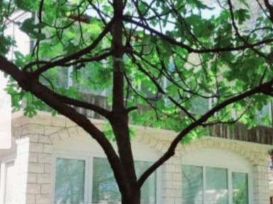 Standard Twin Room with Shared Bathroom