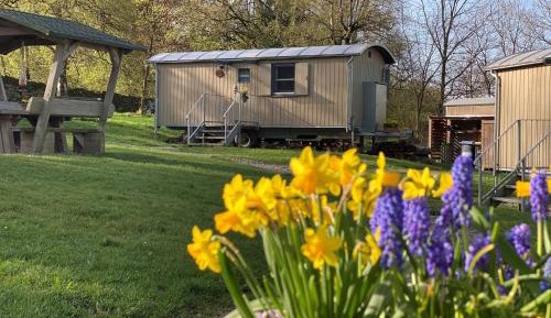 Mobile Home