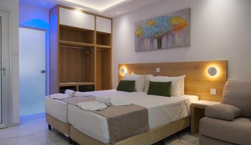 Superior Double or Twin Room