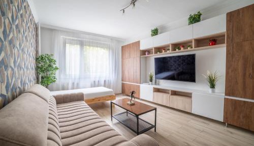 Deluxe Apartment