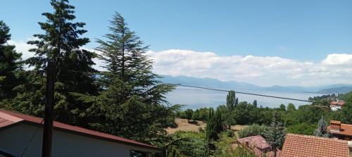 Apartment with Lake View