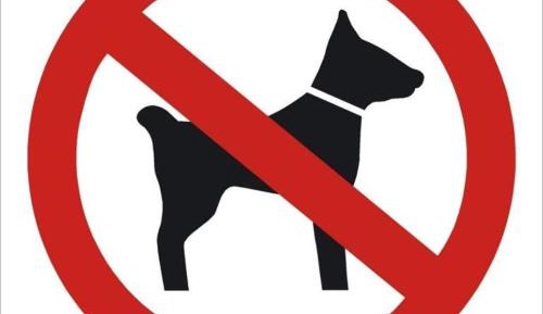 Traditional Mobile Home