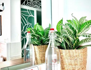 Twin Room with Mountain View