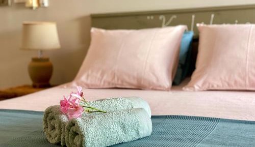 Deluxe Double or Twin Room with Garden View