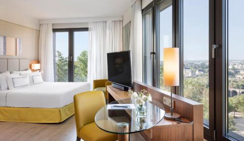 The Level Premium Room with City View and Executive Lounge Access
