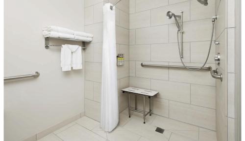 King Room with Mobility Accessible Roll-In Shower - Non-Smoking