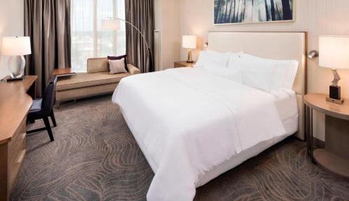 Executive Room, 1 King