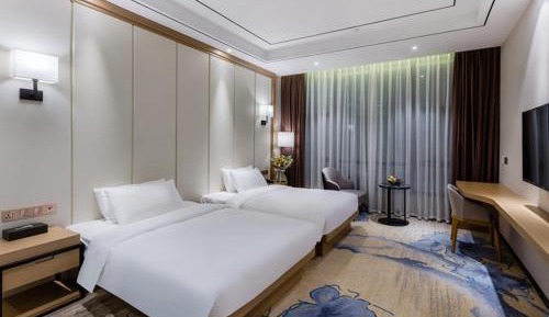 Executive Twin Room