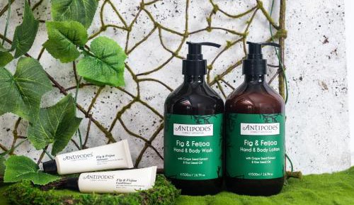 Superior Twin Room - Non-Smoking