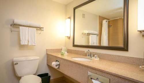 Executive King Room