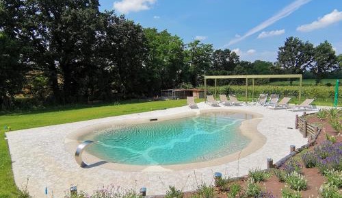 Double Room with Pool View