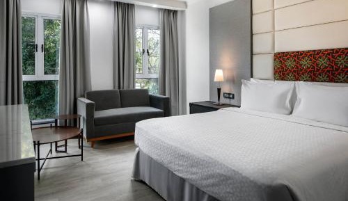 Deluxe King Room with Limited View