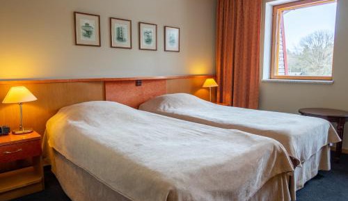 Superior Single Room