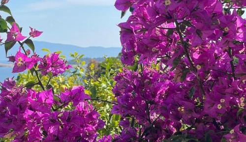 Twin Room with Sea View