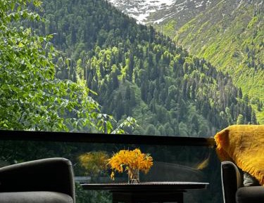 One-Bedroom Chalet