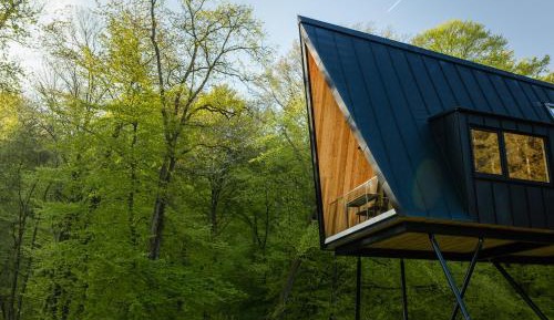 Apartment with Garden View