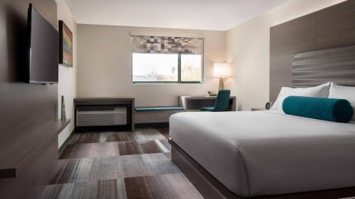Traditional, Guest room, 1 King, No view