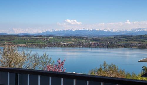 Double or Twin Room with Lake View