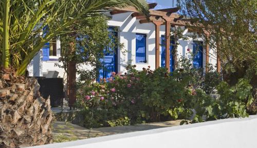 Studio with Garden View