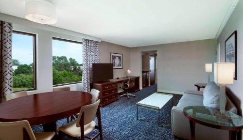 Deluxe King Suite