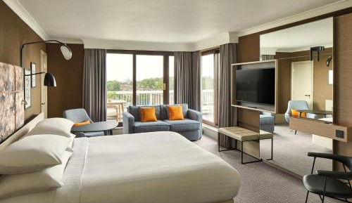 Junior King Suite - Club Lounge Access