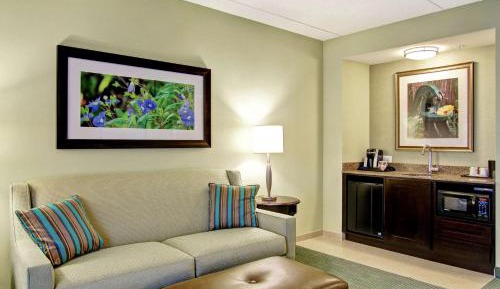 One-Bedroom King Suite