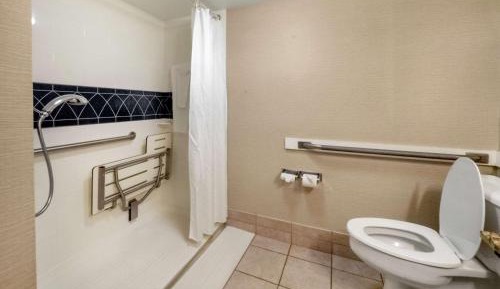 King Room with Roll-in Shower - Mobility and Hearing Accessible/Non-Smoking
