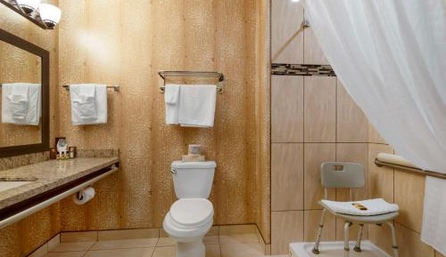 King Room with Walk-in Shower - Mobility Accessible