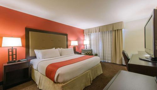 King Room