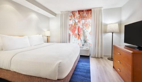 1 Bedroom Suite, 1 King, Sofabed