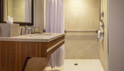 King Room with Roll-In Shower - Mobility Access/Non-Smoking