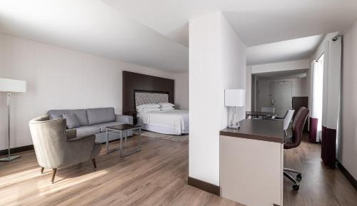 1 Bedroom Junior Suite, 1 King, Sofa bed 