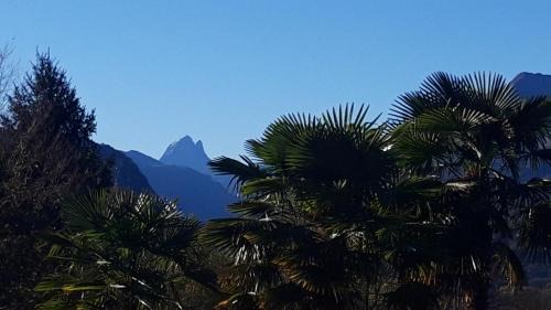 King Room with Mountain View