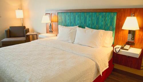 King Room with Microwave and Fridge