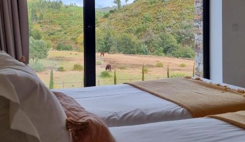 Double or Twin Room with Mountain View