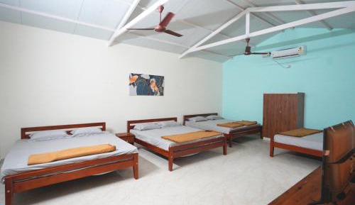 4-Bed Mixed Dormitory Room