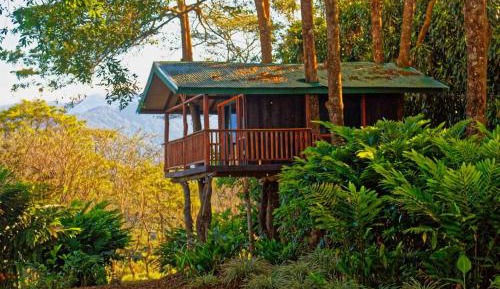 One-Bedroom Chalet